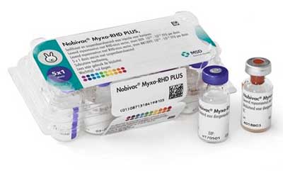 Nobivac Myxo-RHD PLUS1 vaccinatie voor 3 besmettelijke konijnenziektes